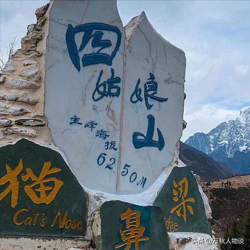 景区女游客高反去世,高原反应的女游客
