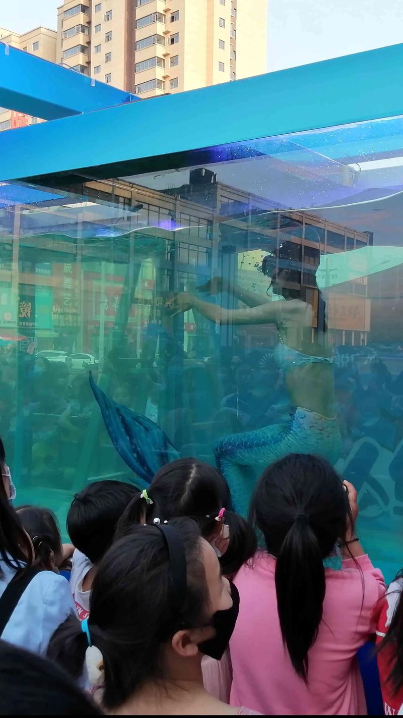 海洋馆员工脚踢海狮,海洋馆员工脚踢海狮视频