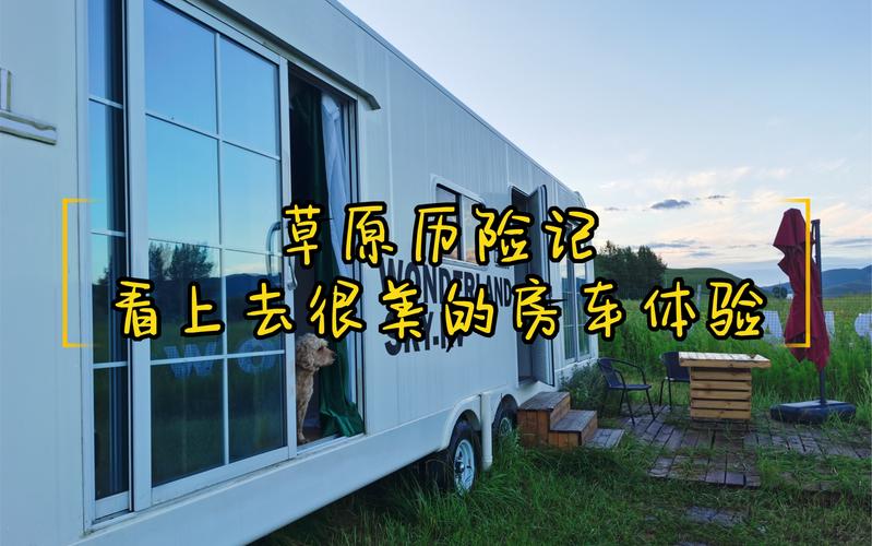 多匹马失温冻死草原,马被冻死