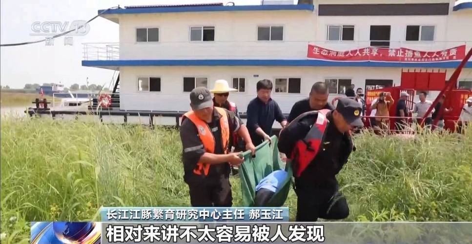 新奥精准数据免费开放和保护区里的疯狂垂钓与保护区里的疯狂垂钓是什么