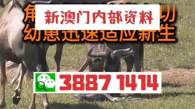 新澳门四肖八肖期期准最新版本,和男子洗空调捅到鼠窝与男子洗空调捅到鼠窝了